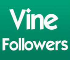 Buy Vine followers