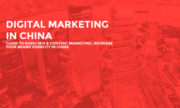 Digital Marketing Tips for China from Expert